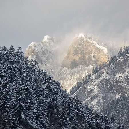 Ubytovanie U Jozefa Červený Kláštor Buitenkant foto