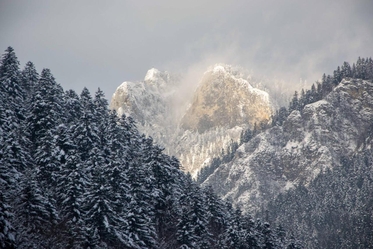 Ubytovanie U Jozefa Červený Kláštor Buitenkant foto